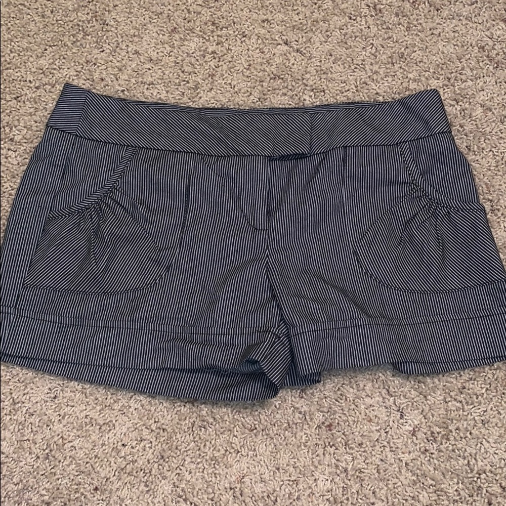 Business Casual Shorts